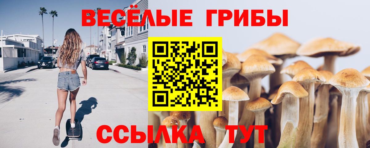 Железногорск  Псилоцибиновые грибы ЛСД  Вход с VPN  где можно купить наркотик  Псилоцибиновые грибы Psilocybe 